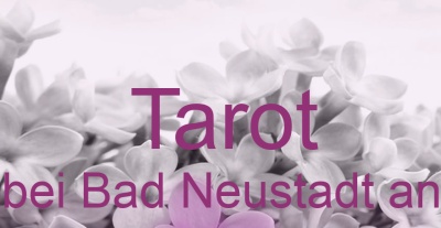 Tarot Wollbach bei Bad Neustadt an der Saale | Top-Experten für Kartenlegen, Wahrsagen, Hellsehen, Zukunftsdeutung. Tarot Wollbach bei Bad Neustadt an der Saale | Top-Experten für Kartenlegen, Wahrsagen, Hellsehen, Zukunftsdeutung.